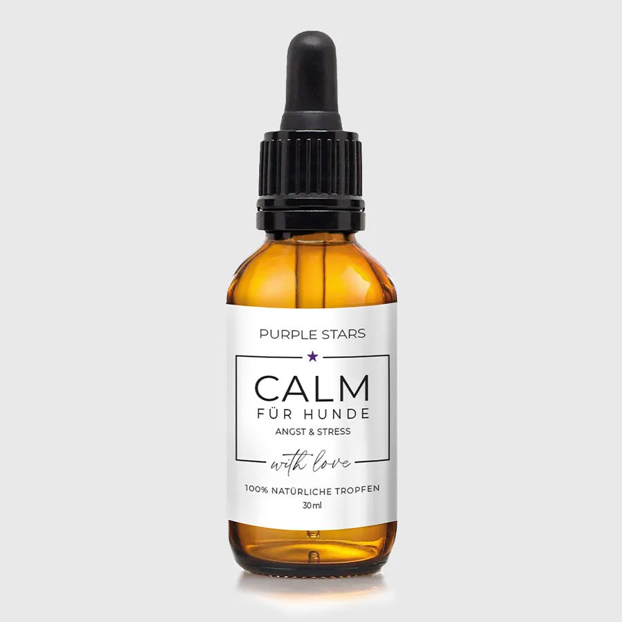 Ein Hund schaut liebevoll seinen Besitzer an