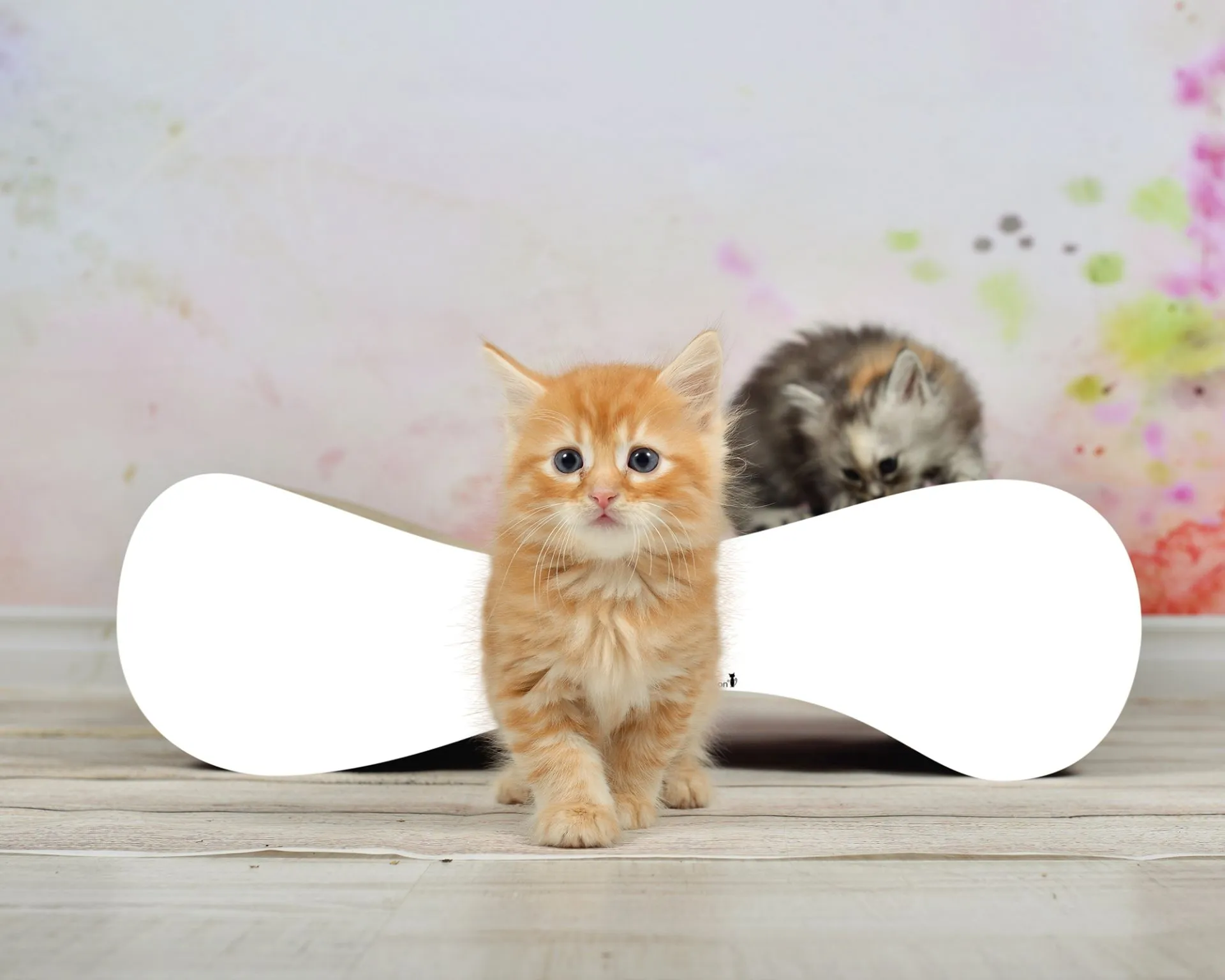 Ein kleines, modernes LE VER S Katzensofa und Kratzmöbel in elegantem Weiß, handgefertigt in Deutschland, fügt sich harmonisch in jedes Interieur ein.