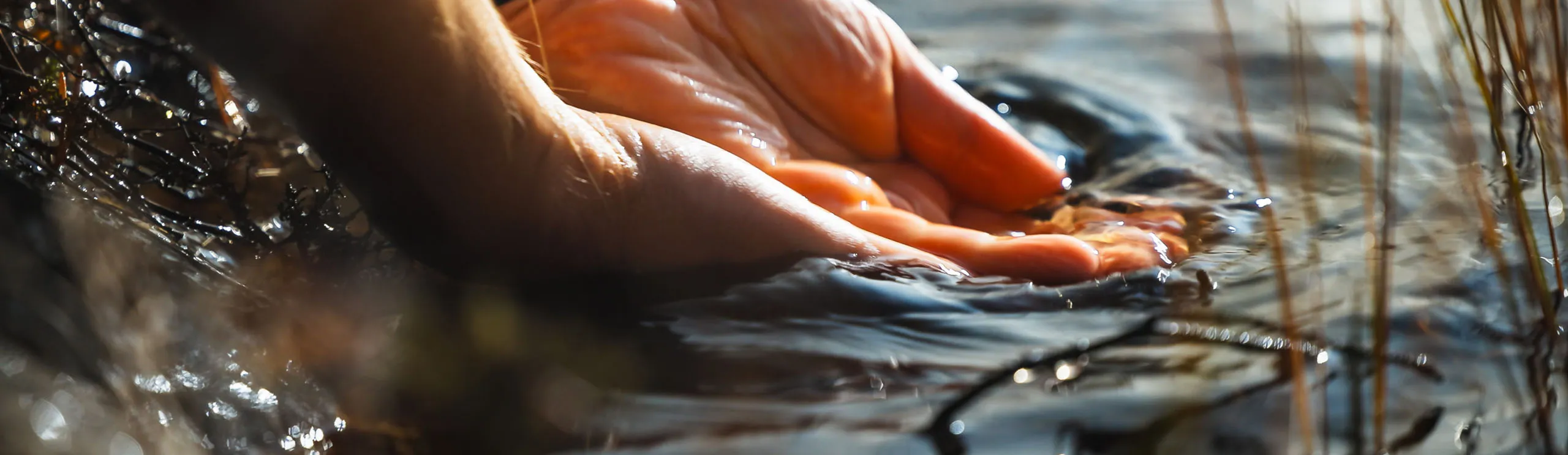 Ein malerischer Fjord in Norwegen, umgeben von grünen Bergen und klarem Wasser.