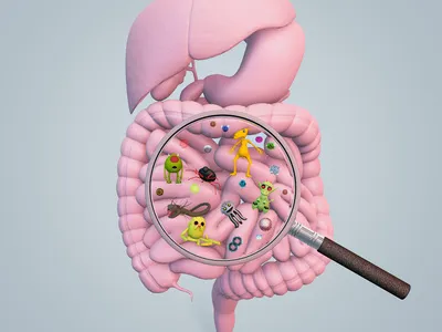 Ein Mikroskopbild von Bakterien im Darm.