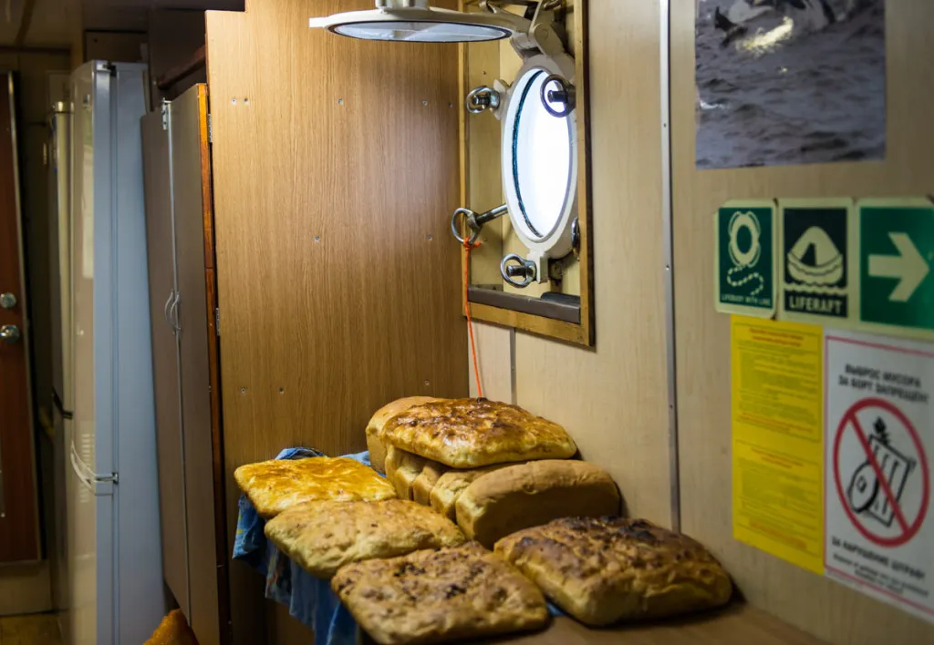 Ein ruhiger Küstenabschnitt oder Seeufer mit sanften Wellen, bewaldeten Hügeln und einem klaren Himmel.