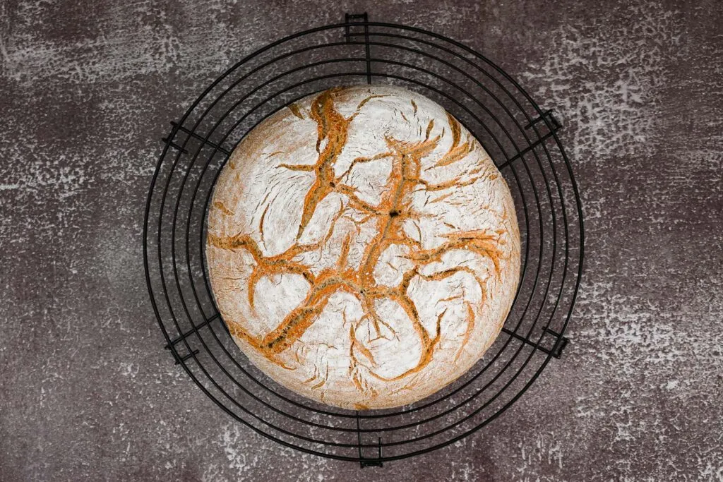 Ein runder Laib veganes Bauernbrot, grosszügig mit Mehl bestäubt, bereit zum Backen oder frisch aus dem Ofen.