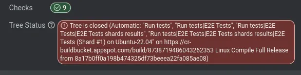 Ein Screenshot, der den Status eines Entwicklungsprojekts mit grünen Häkchen und Statusmeldungen anzeigt.