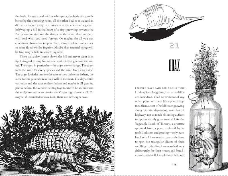 Ein Ziegenbock steht ruhig neben einem Rennpferd in einem Stall, eine Metapher für A. Kendra Greenes Ansatz, mehrere kreative Projekte gleichzeitig zu managen.