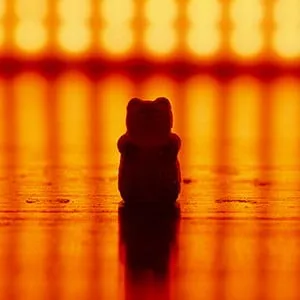 Eine Auswahl an selbstgemachten Gummibärchen in verschiedenen Farben und Formen.