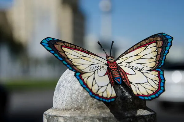 Eine Auswahl von Andreas Preis' "The Butterfly Effect"-Projekt, Schmetterlinge mit Botschaften auf ihren Flügeln