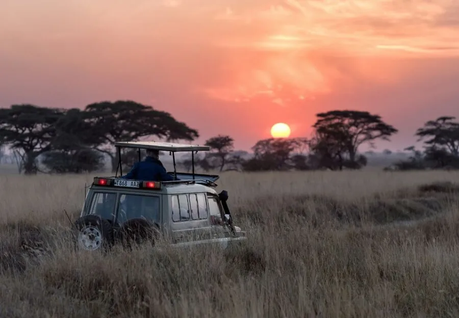 Eine Giraffe in Südafrika, einem der besten Fernreiseziele im August für Tierbeobachtungen