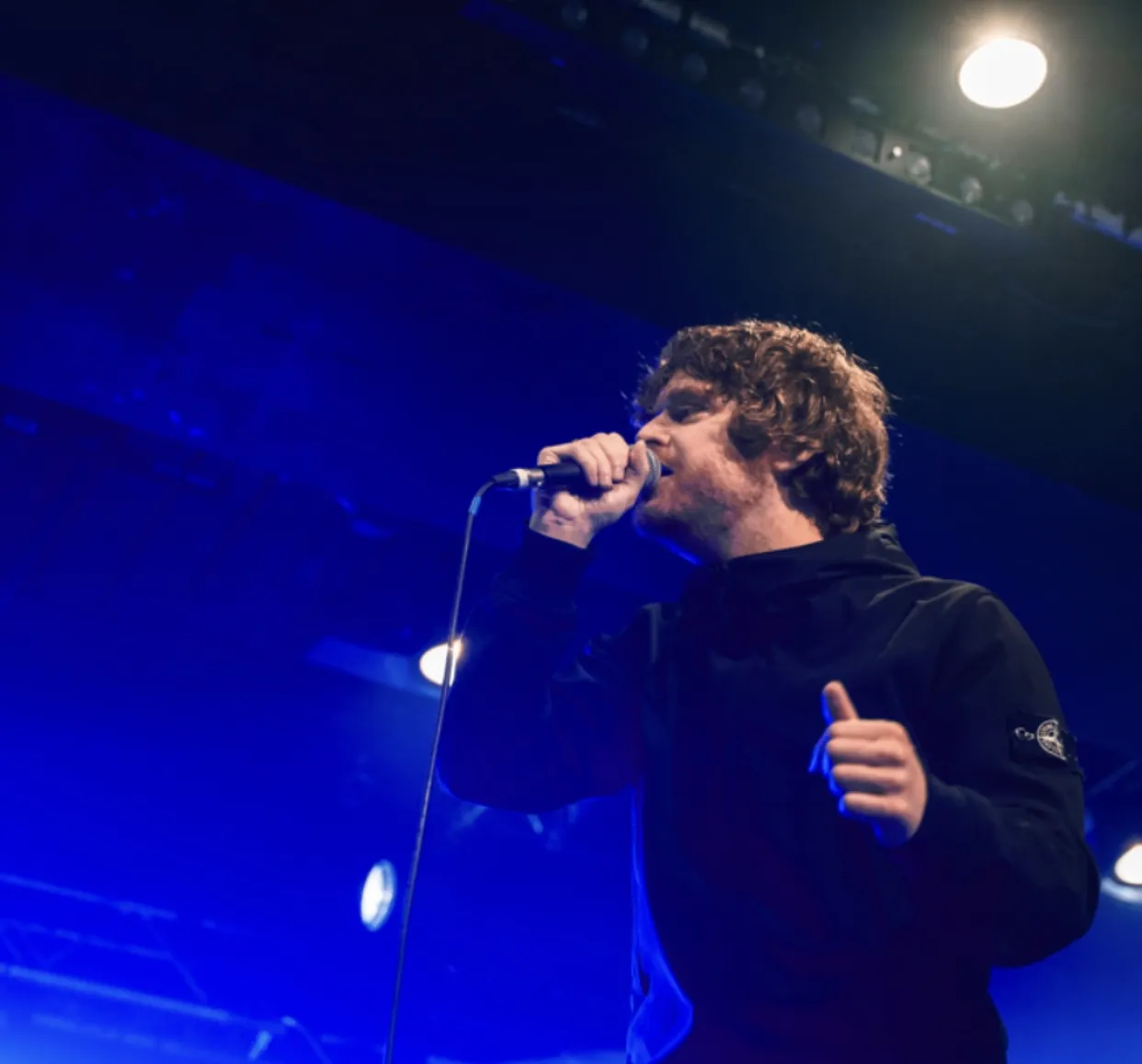 Eine glückliche Katze räkelt sich auf einer weichen Liegefläche eines Deckenspanner-Kratzbaums, umgeben von Sisalstämmen.