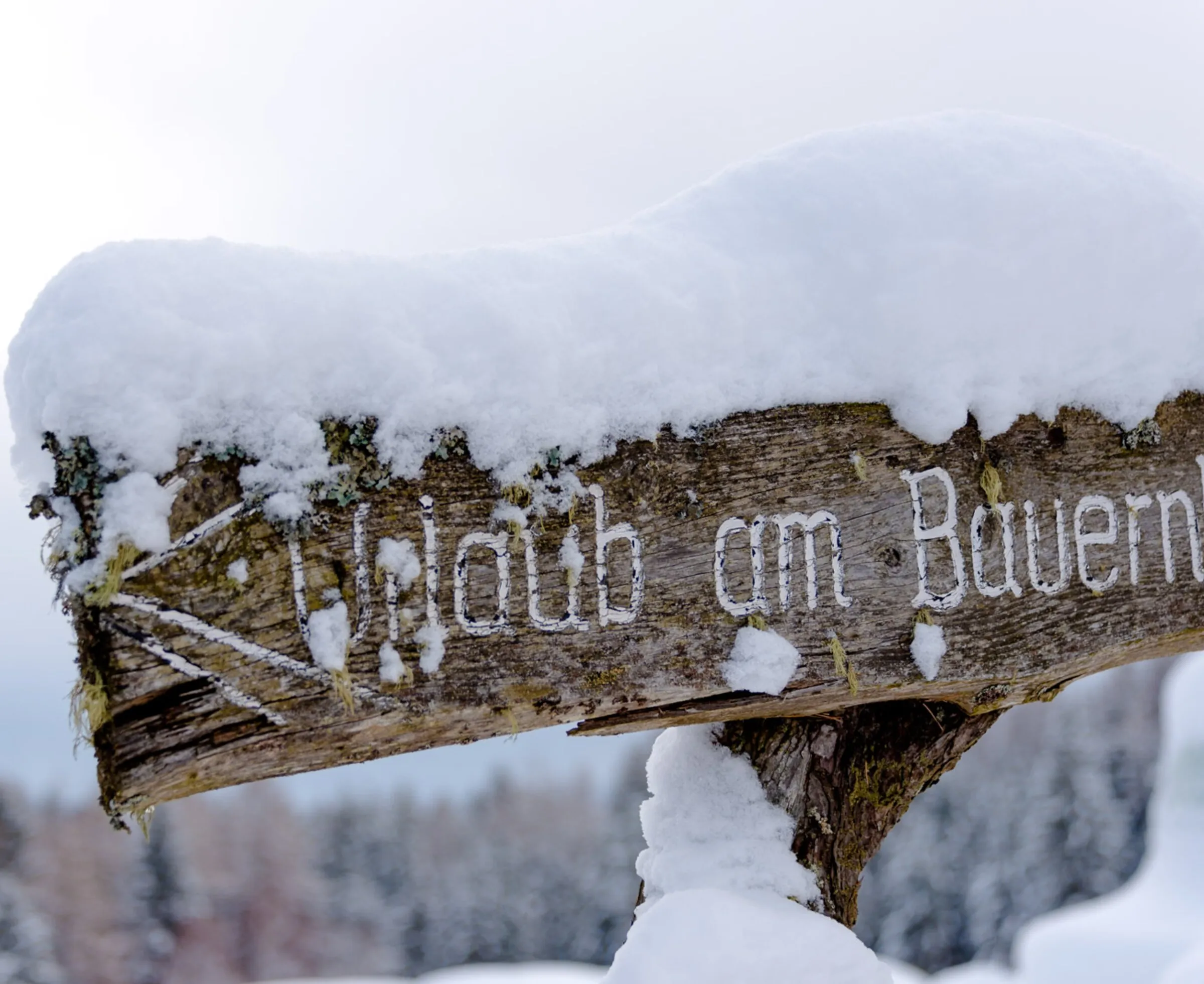Eine Hof-Tafel ist mit einer dicken Schneeschicht bedeckt und weist auf einen Bauernhof in der winterlichen Landschaft hin.
