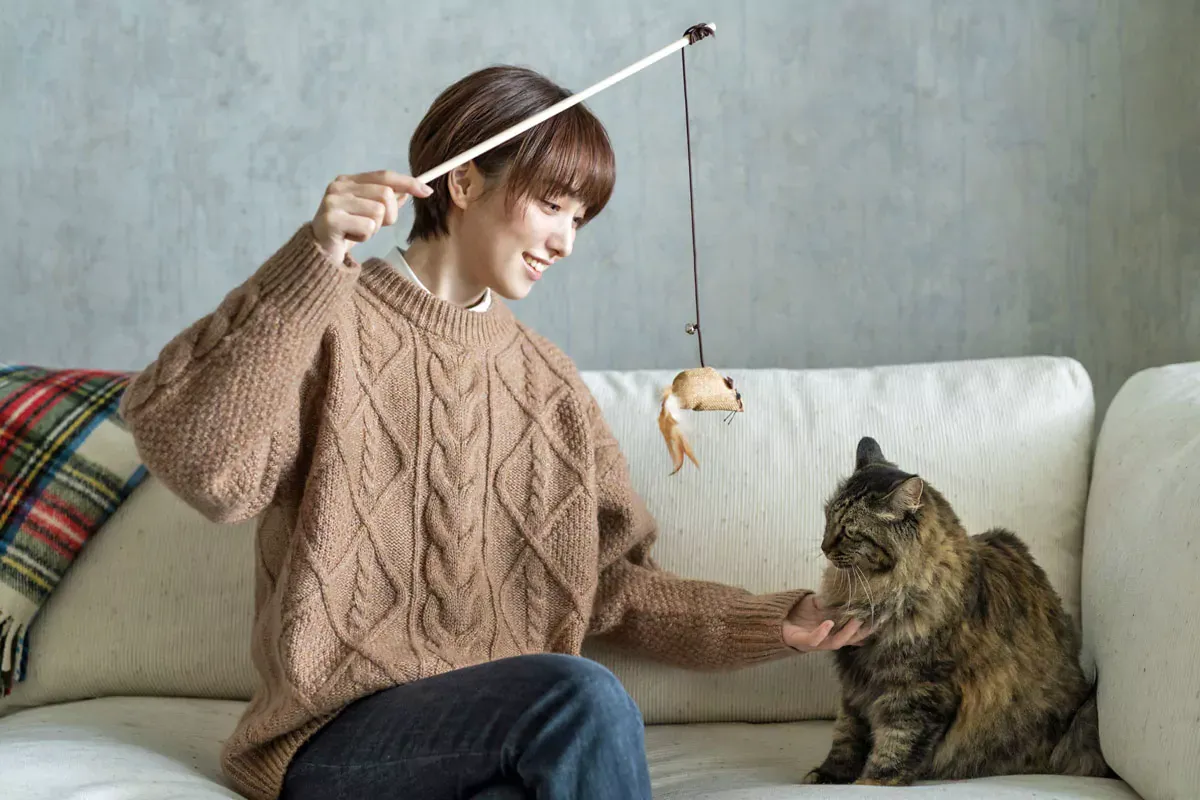 Eine Person kümmert sich vorerst allein um die neue Katze.