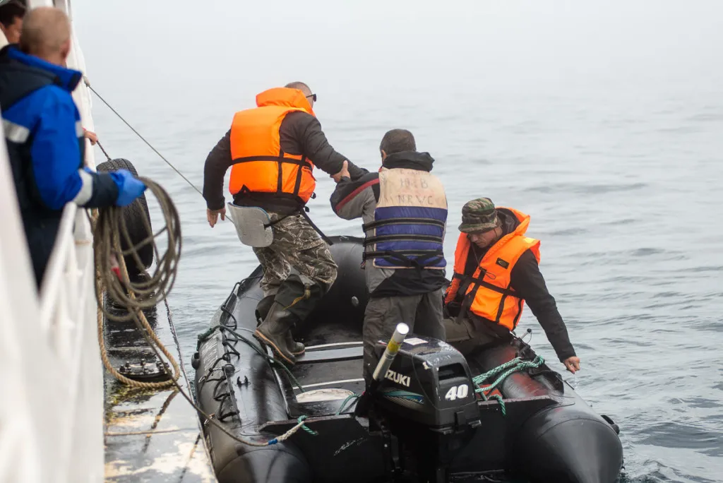 Eine weite Hügellandschaft im Harz mit üppigem Grün und vereinzelten Bäumen unter leicht bewölktem Himmel.