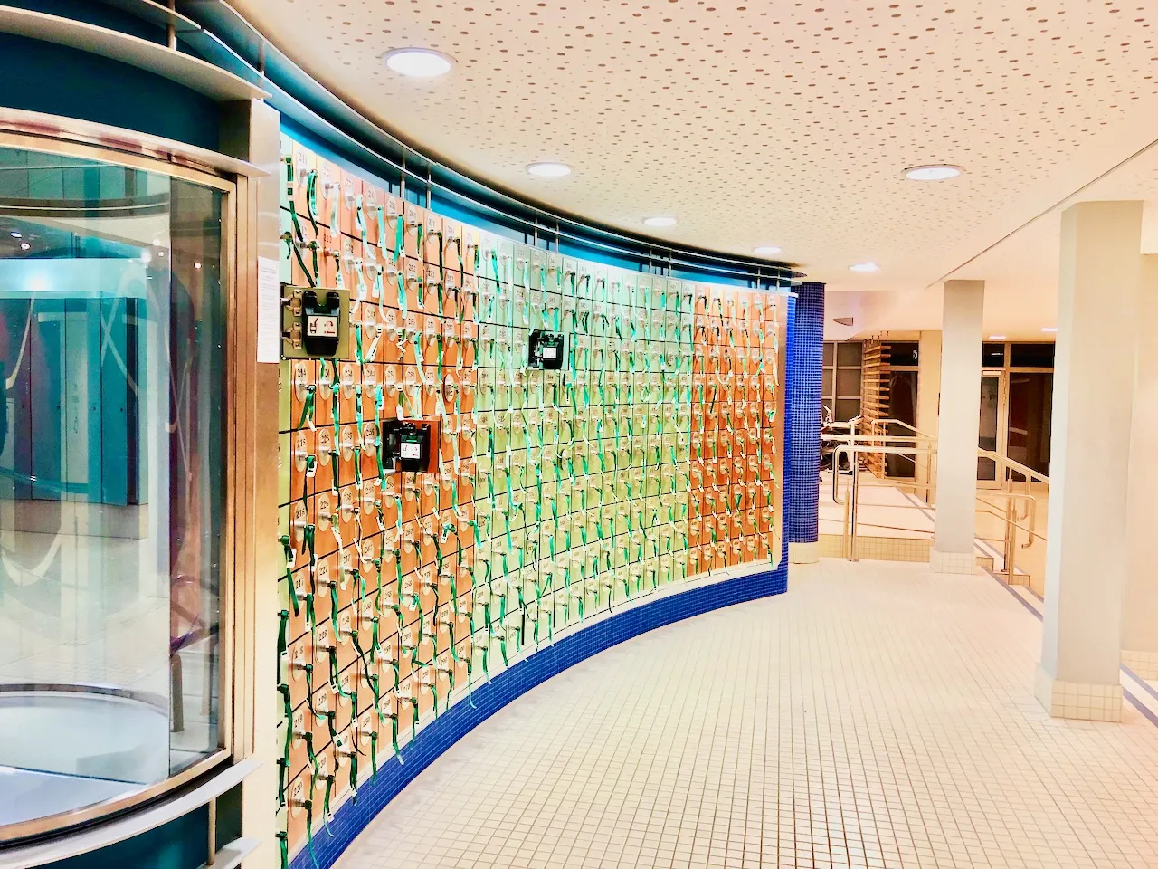 Eingangsbereich der Jod Sole Therme in Bad Bevensen mit moderner Architektur und Begrünung