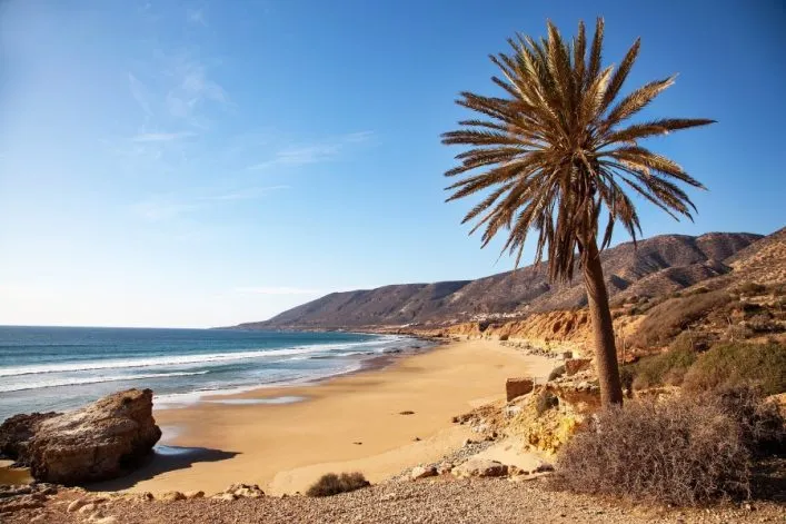 Einsamer Strand in Marokko mit sanften Wellen und Bergen, rechts eine Palme