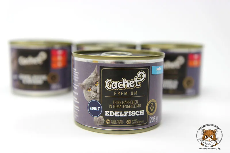 Feine Häppchen in Tomatengelee mit Edelfisch