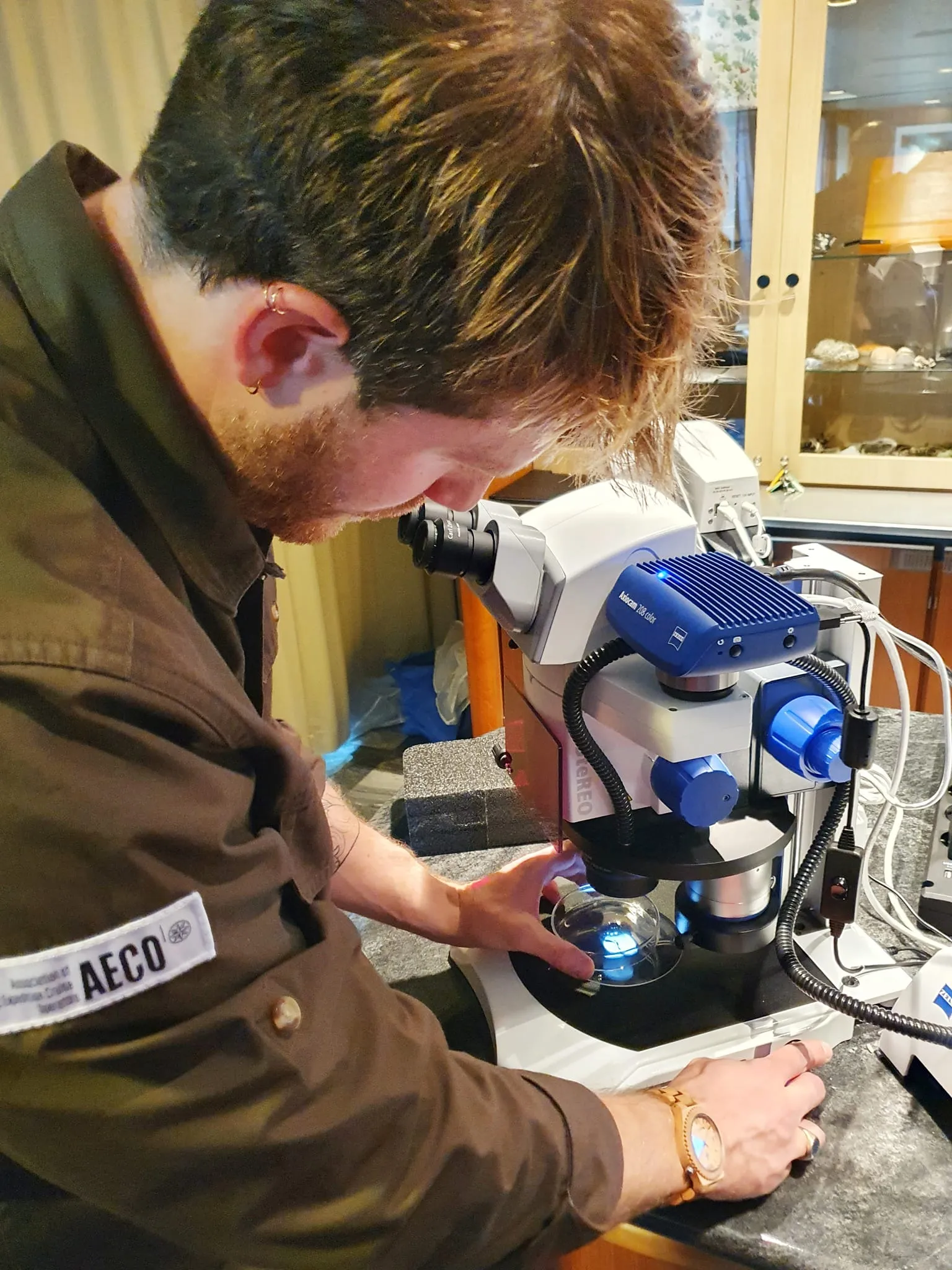 Feine Planktonproben unter dem Mikroskop, ein faszinierender Einblick in die Meeresbiologie