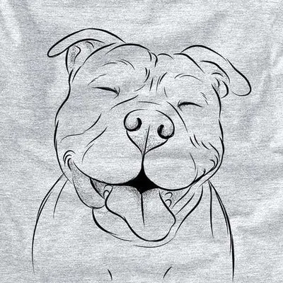 Floki der American Bully