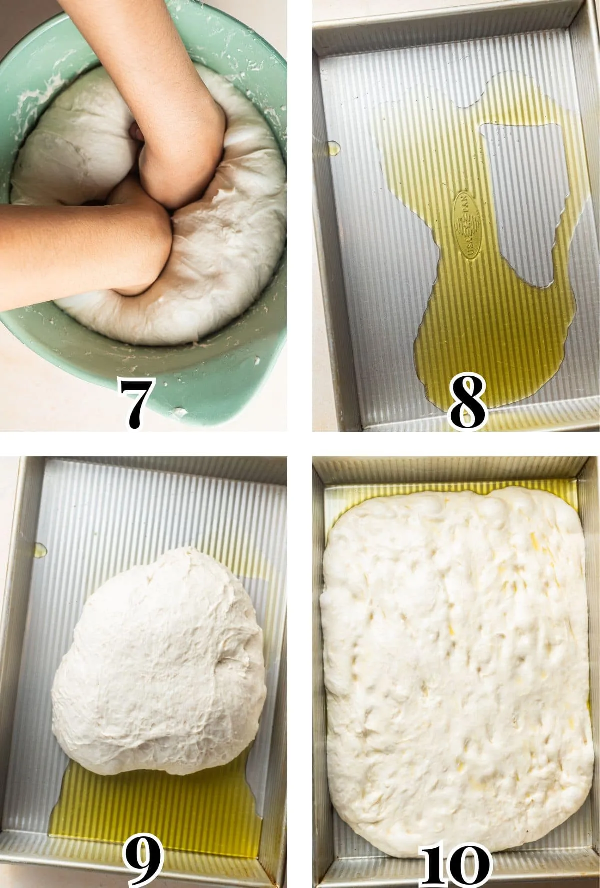 Focaccia-Teig wird entlüftet, geölt und in einer Backform ausgebreitet.