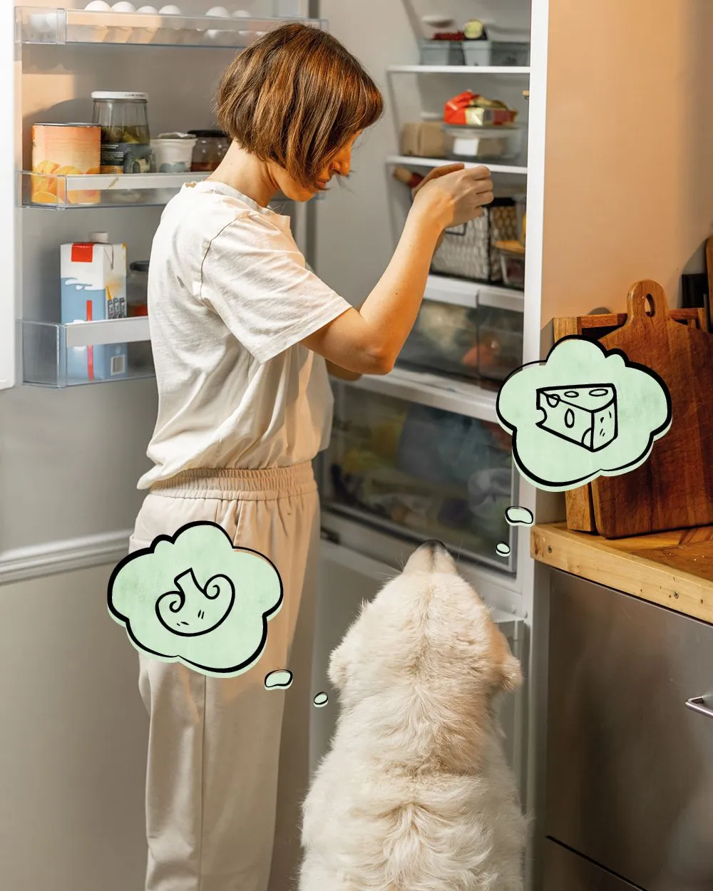 FRESCO_Startseite_Kachel_Nahrungskompendium_20250627