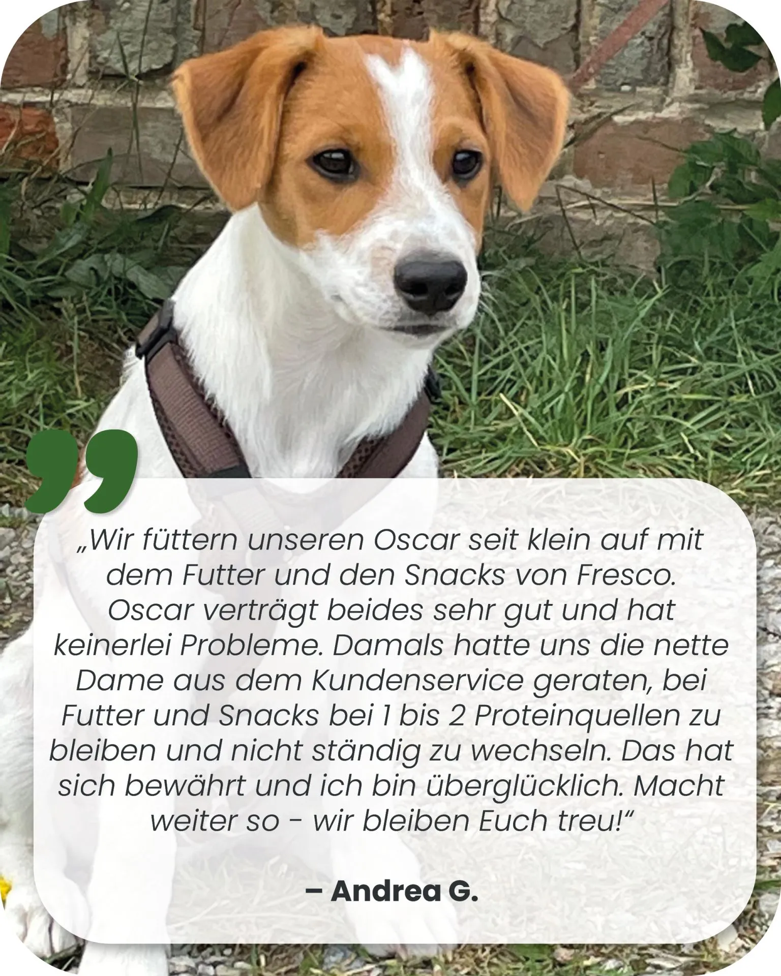 FRESCO_Startseite_Neu_20250616_Kundenstimmen2