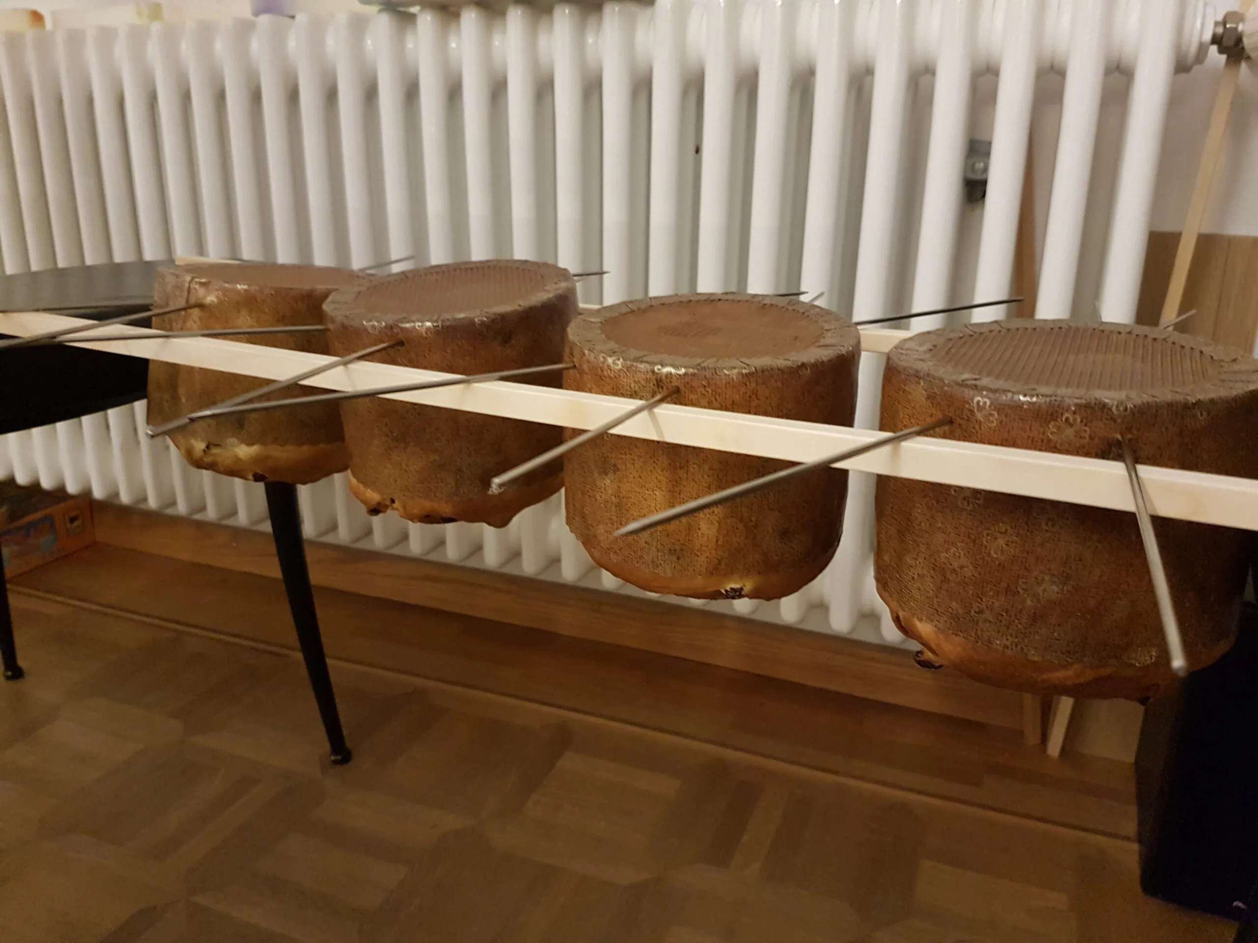 Frisch gebackene Panettone, kopfüber an Metallstäben hängend, um ihre Form zu bewahren