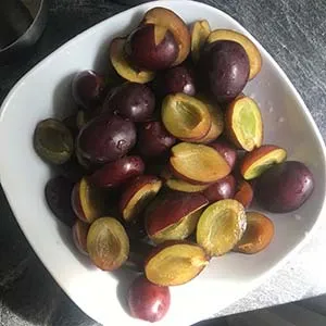 Frische Pflaumen, gewaschen und halbiert, bereit zum Belegen