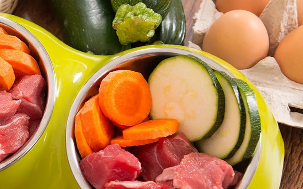 Frisches Fleisch und Gemüse in Futternäpfen