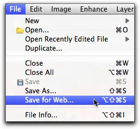 „Für Web speichern“-Dialog in Photoshop Elements 9 mit Qualitätsoptionen