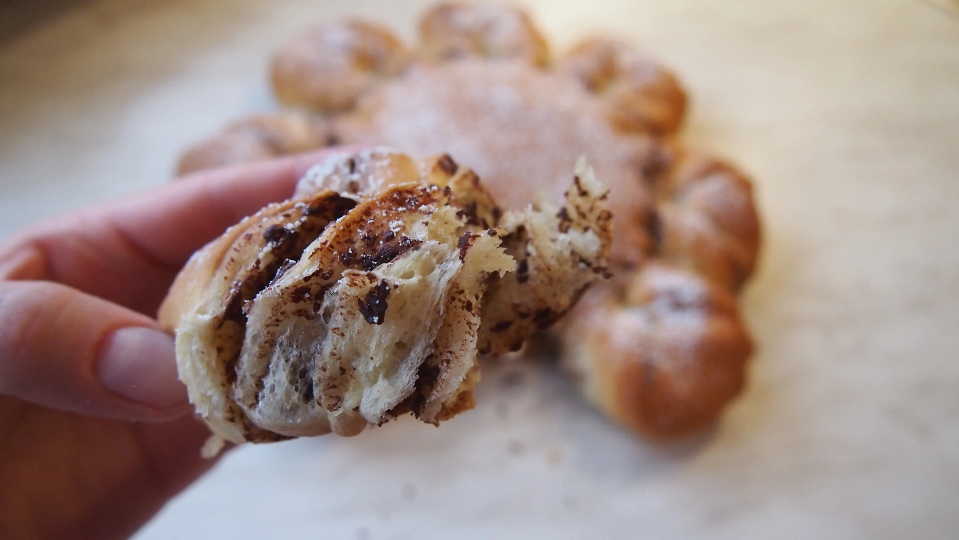 Gesunder Nutellastern ohne Zucker, ideal für den weihnachtlichen Brunch