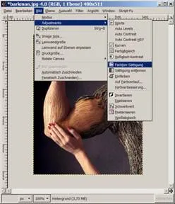 GIMP Farbton-Sättigung Dialog zur Anpassung der Bildfarben an das Webdesign.