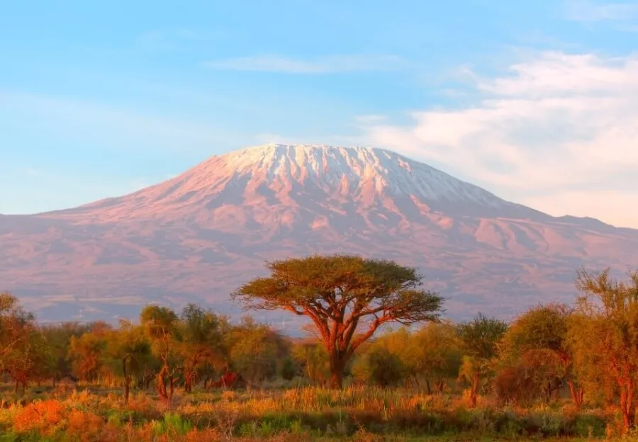 Gnus und Zebras überqueren den Mara-Fluss in Tansania während der großen Tierwanderung