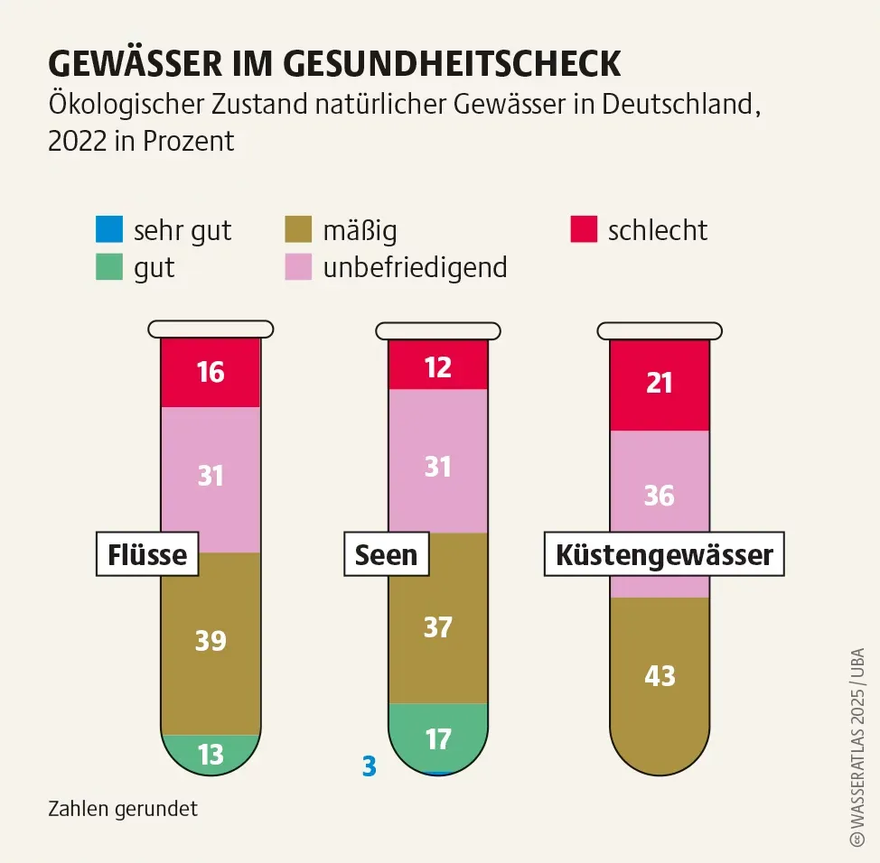 Grafik zeigt den ökologischen Zustand natürlicher Gewässer in Deutschland im Jahr 2022, basierend auf Organismenvielfalt
