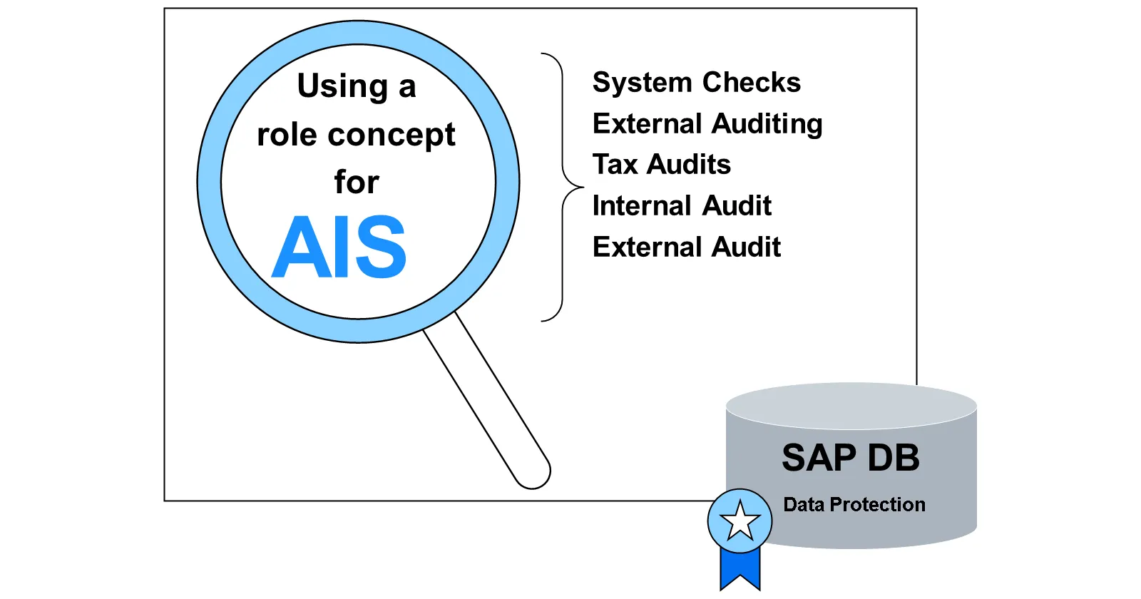 Grafik zur Auflistung der Prüfbereiche des SAP Audit Informationssystems (AIS) für Audits und Systemprüfungen.