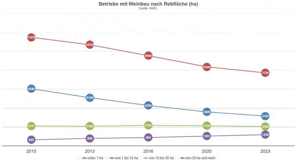 Grafik zur Verteilung und Größe der größten deutschen Weingüter nach Rebfläche.