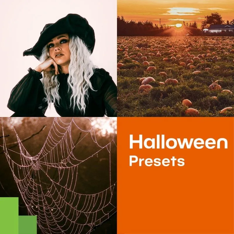 Halloween-Bilder gruselig gestalten mit kostenlosen Zoner Photo Studio Presets