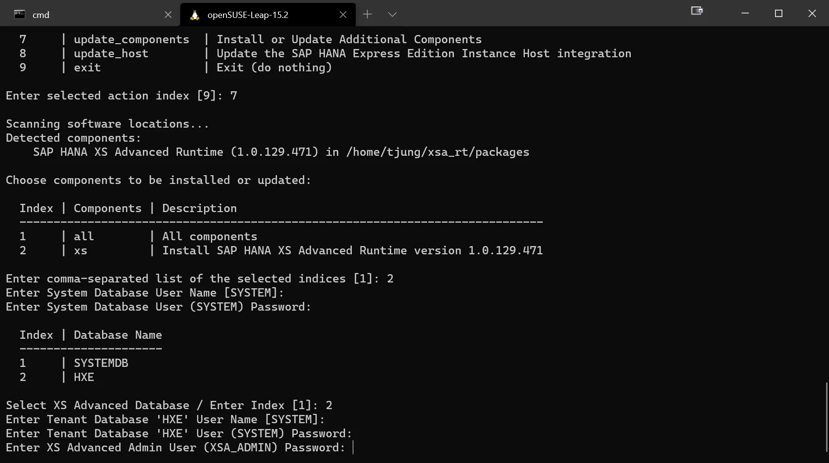 Hinzufügen von XS Advanced zum System