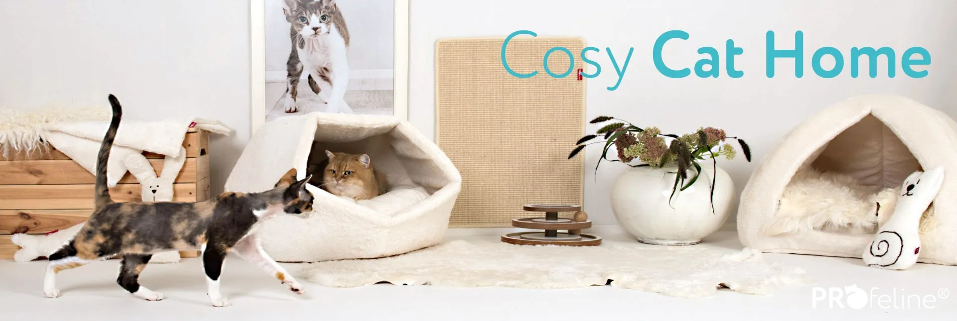 Hochwertige Katzenmöbel für ein stilvolles und katzenfreundliches Zuhause