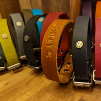 Hochwertiges Fettlederhalsband für Hunde in schlichtem Design.