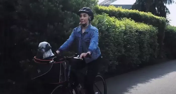 Hundefahrradkorb DoggyRide Cocoon Lifestyle