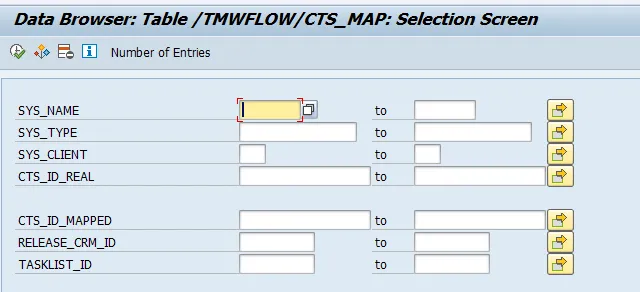 Inhalt der leeren SAP-Tabelle /TMWFLOW/CTS_MAP