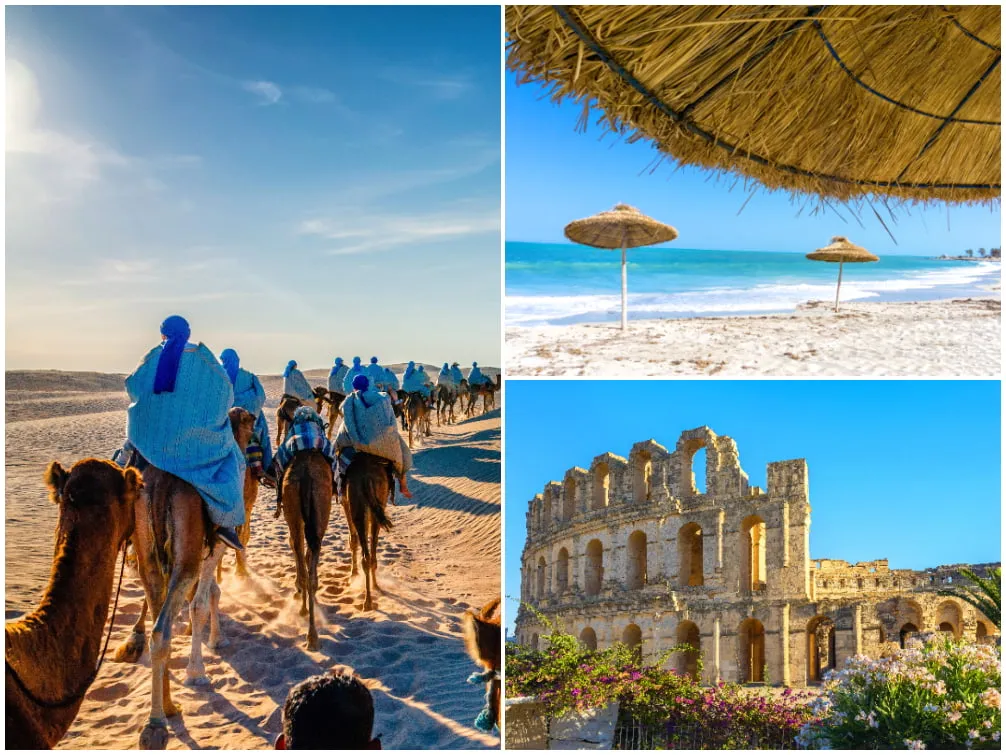 Kameltour durch die goldene Sahara Wüste in Tunesien bei Sonnenuntergang