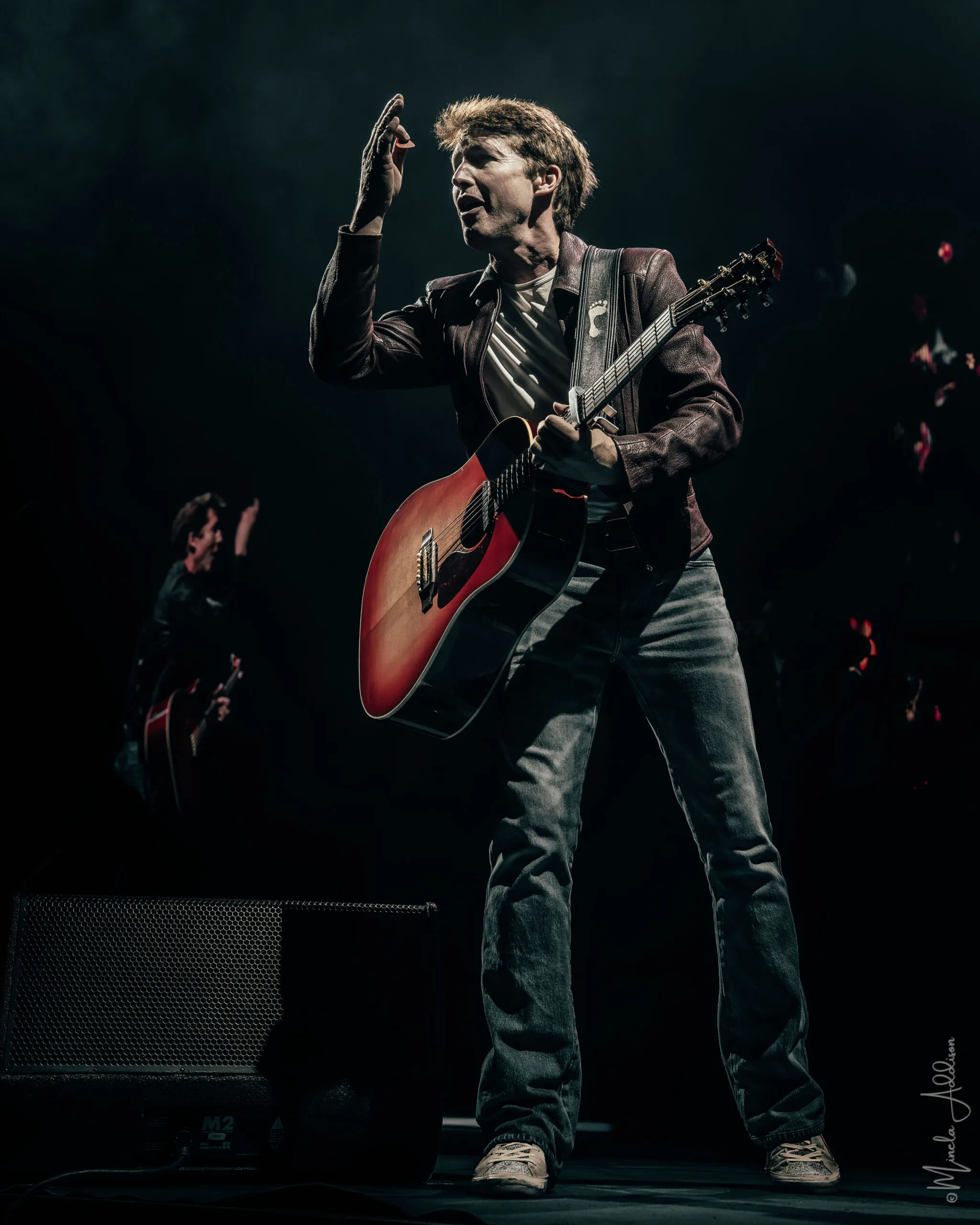 Katze liegt friedlich auf einem Kratzbaum