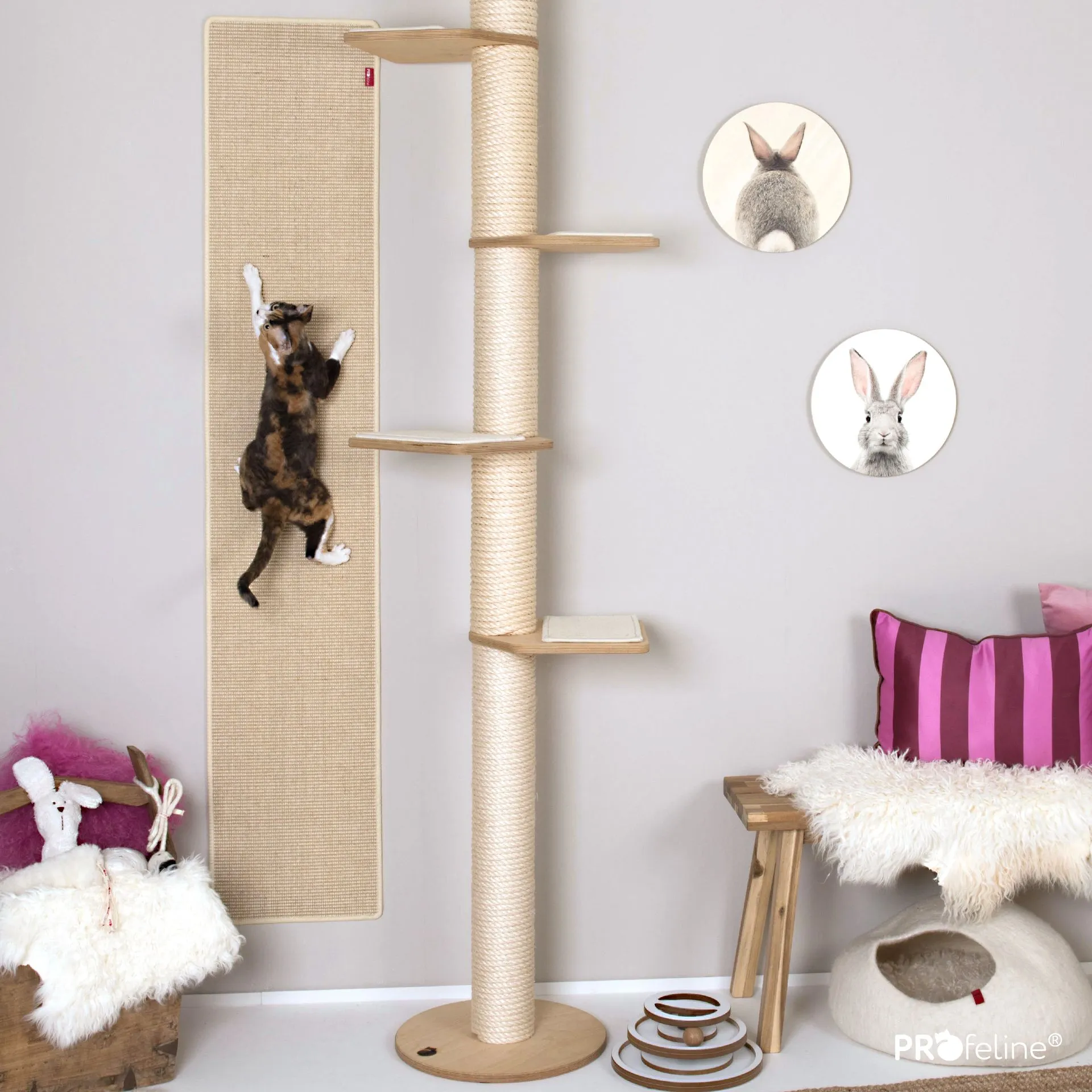 Katzenzimmer mit Wandkletterteppich und Kratzbaum