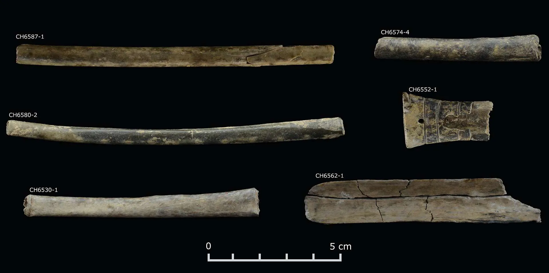 Kleine Röhrchen aus Knochen, die zum Konsum psychoaktiver Substanzen in der Chavin Kultur dienten