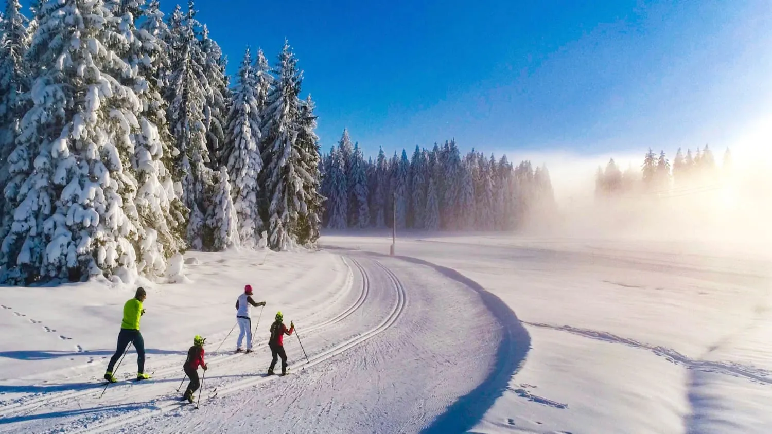 Langläufer genießen die verschneite Thurnerspur bei Breitnau im Hochschwarzwald unter strahlendem Sonnenschein