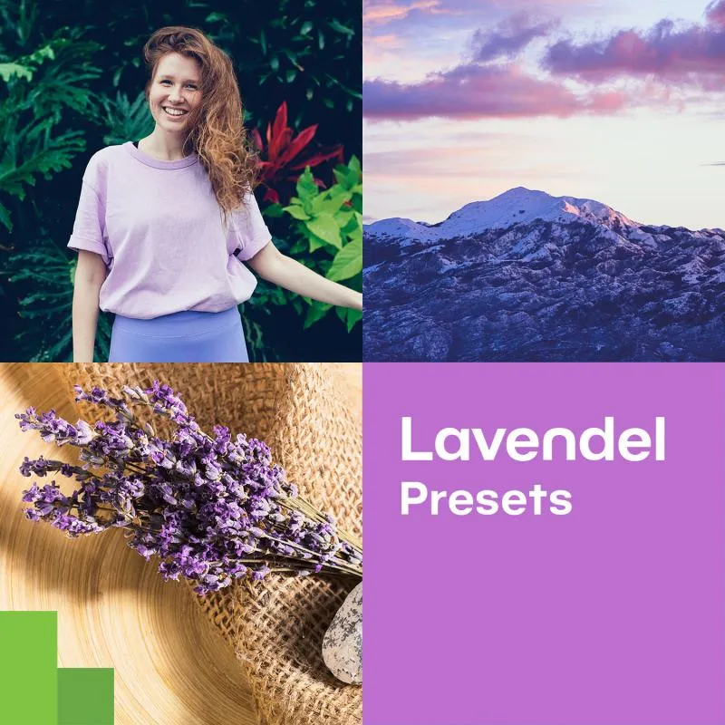 Lavendel-Effekte für Landschafts- und Porträtfotos: Zoner Photo Studio Presets kostenlos