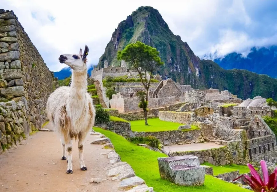 Machu Picchu in Peru, ein ideales Fernreiseziel im August für Abenteuer und Geschichte