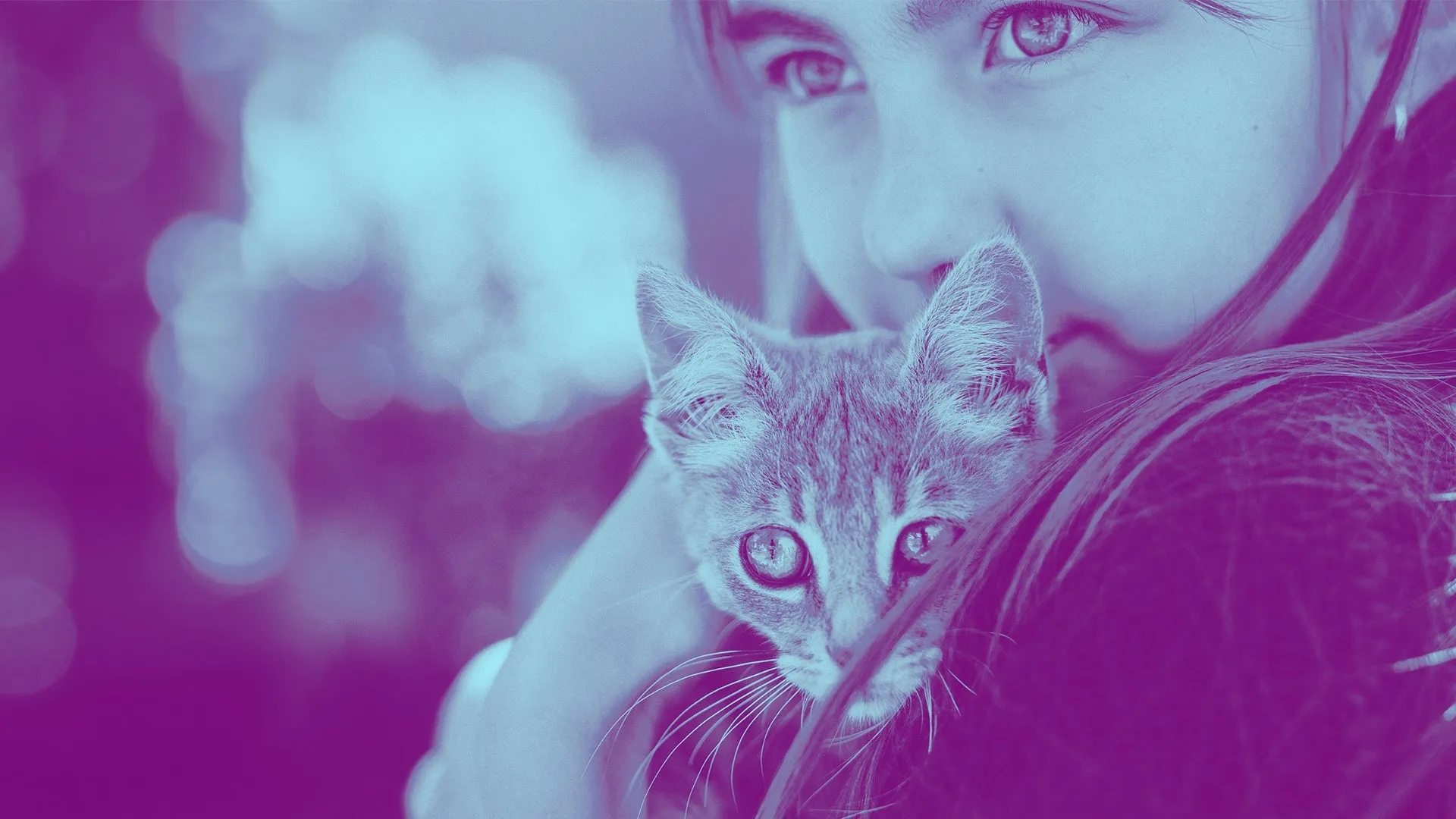 Mädchen mit Katze, bearbeitet im angesagten Duoton-Stil durch eine geführte Bearbeitung in Photoshop Elements 2021.