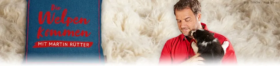 Martin Rütter mit einem Welpen