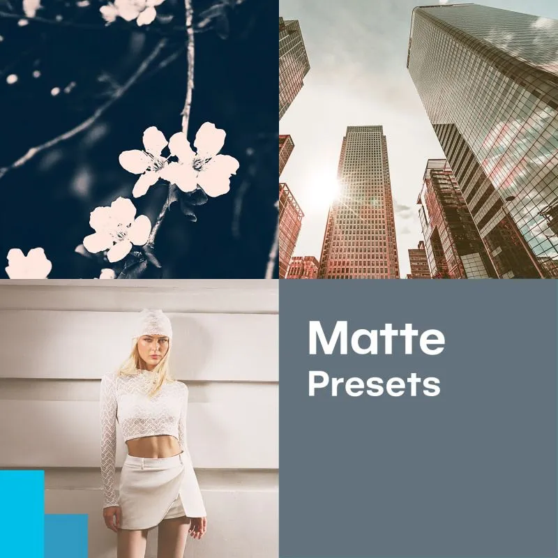Matte Effekte für Fotos mit Zoner Photo Studio: Presets kostenlos herunterladen