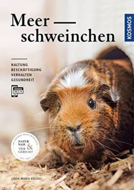 Meerschweinchen: Haltung, Beschäftigung, Verhalten und Gesundheit - 1